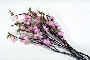 カラオケビッグエコー：充実の設備と楽しい空間で最高のカラオケ体験を提供