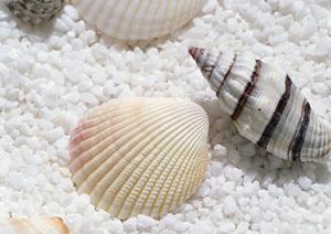 2026年版 開運ブレスレットの選び方と効果を徹底解説！幸運を引き寄せる最強ガイド